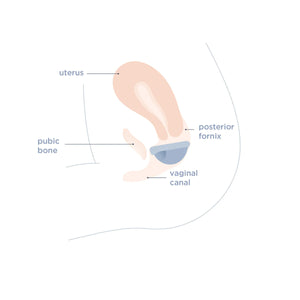 Disco menstrual Saalt Regular